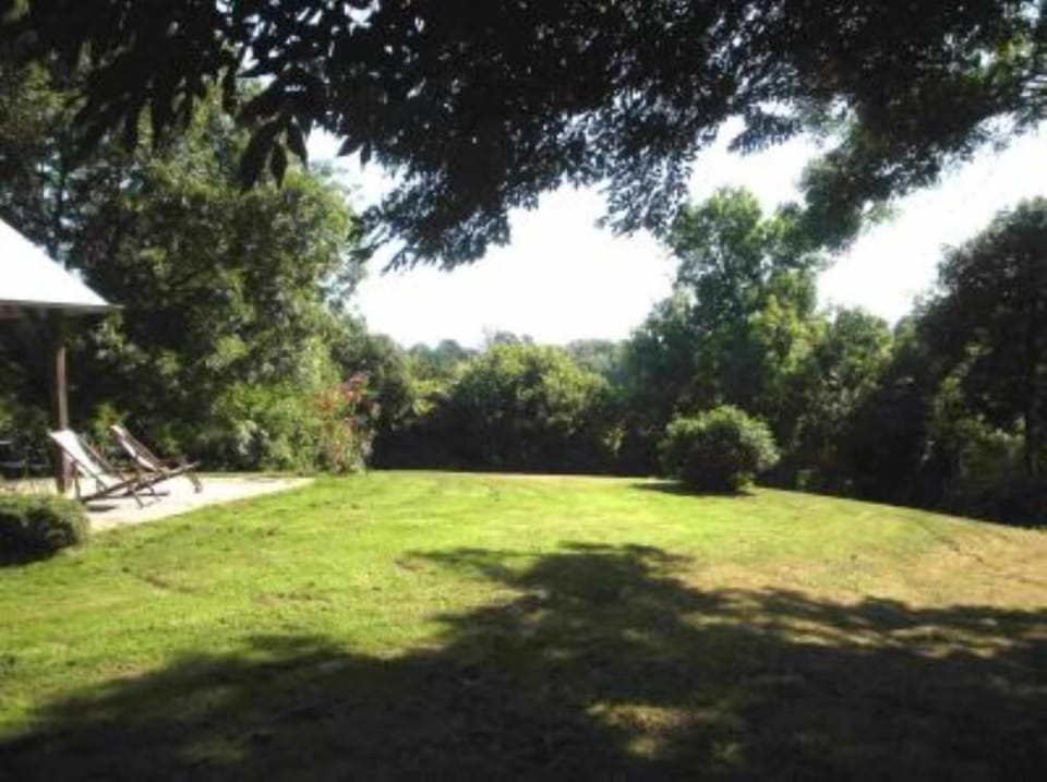 Garden, Park