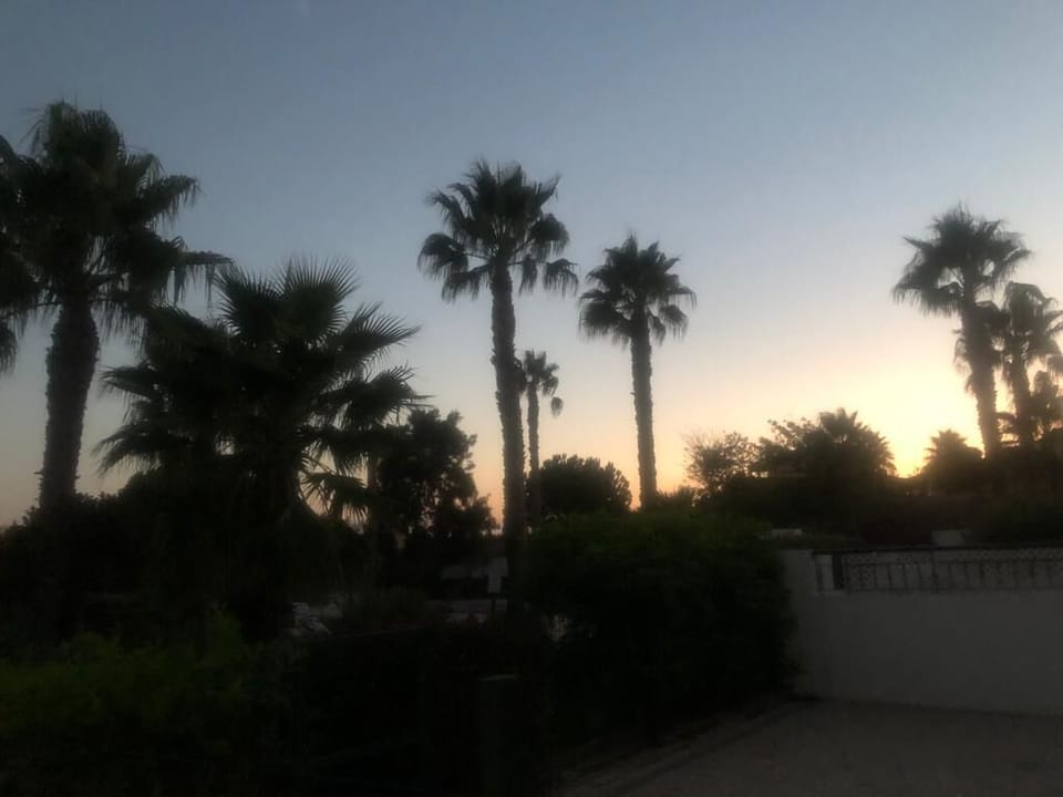 GORGEOUS SUNSETS FROM THE PATIO