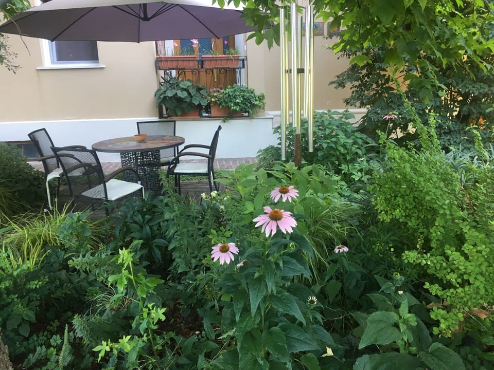 Giardino