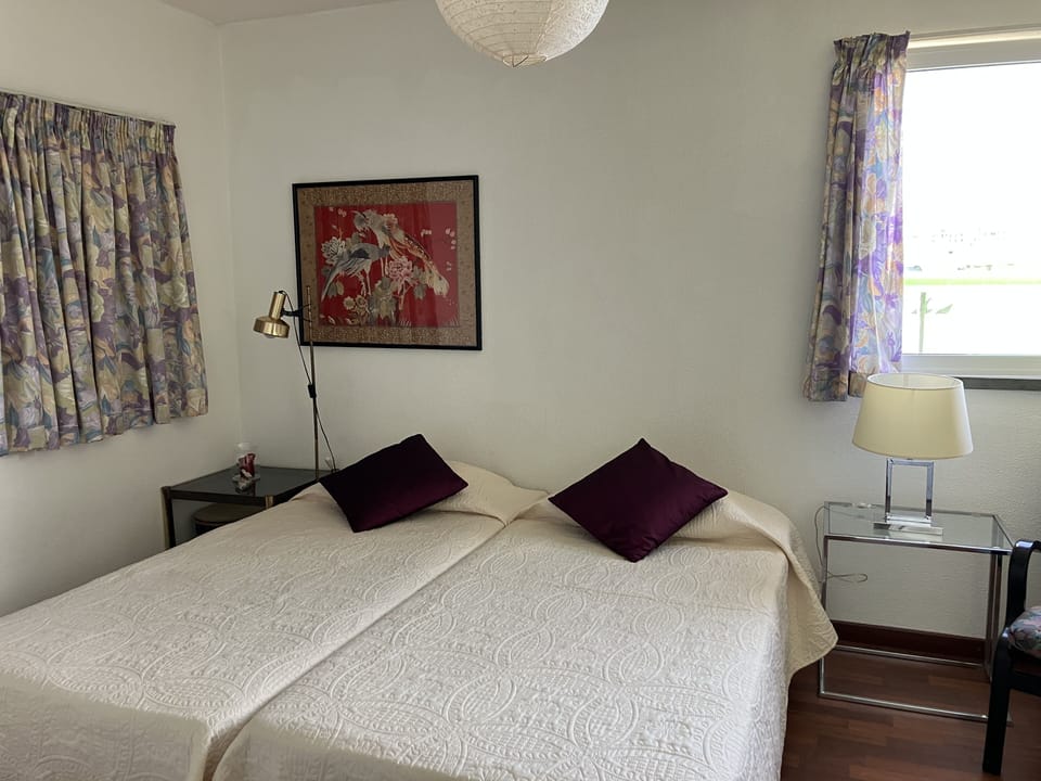 2nd bedroom (twin beds)