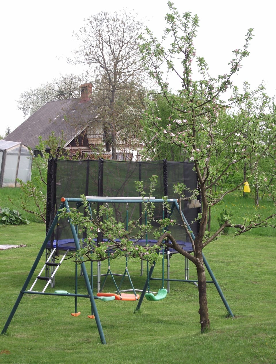 Children's area
