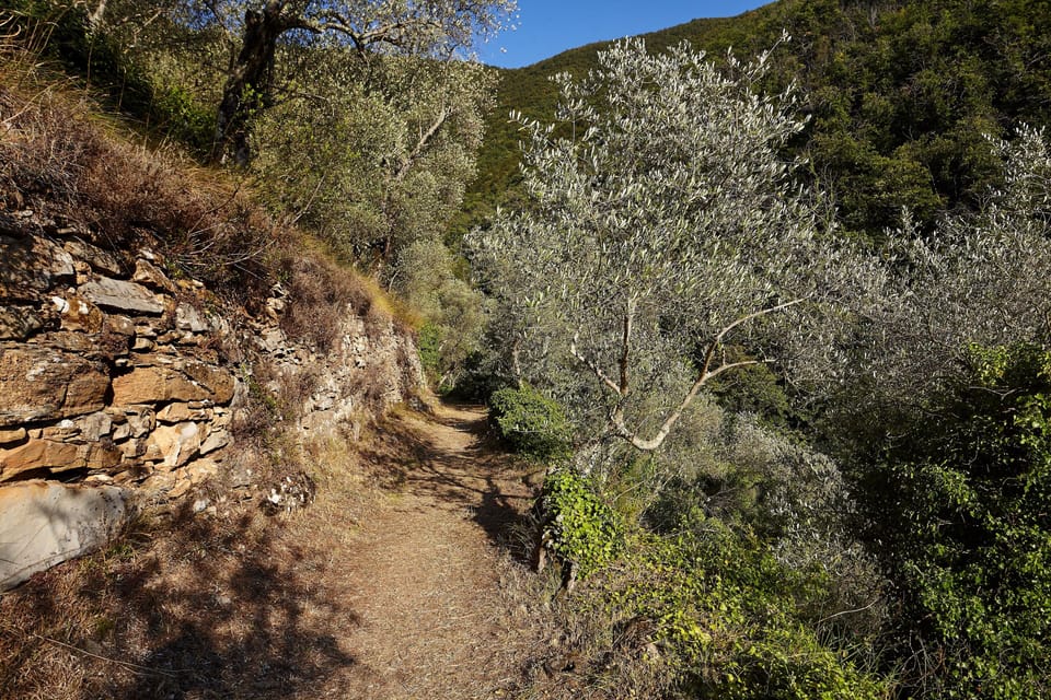 Wonderful country walks nearby