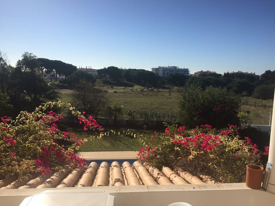 The private garden and pool captured from the terrace outside the twin bedrooms