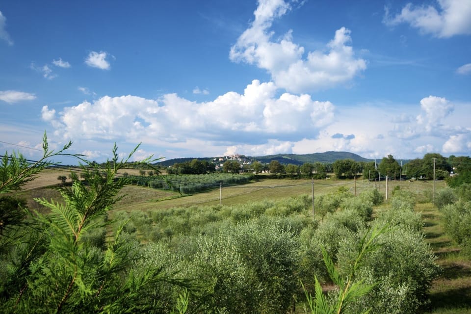 Apartment with private garden on the ground of organic farm, infinity pool Cottage in Umbria