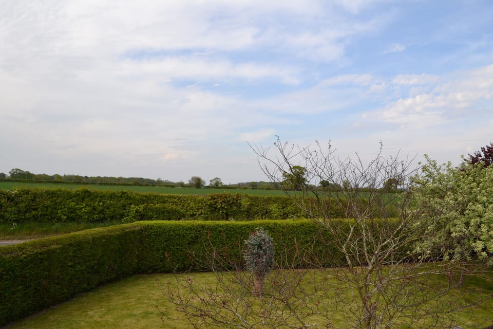 View to the front