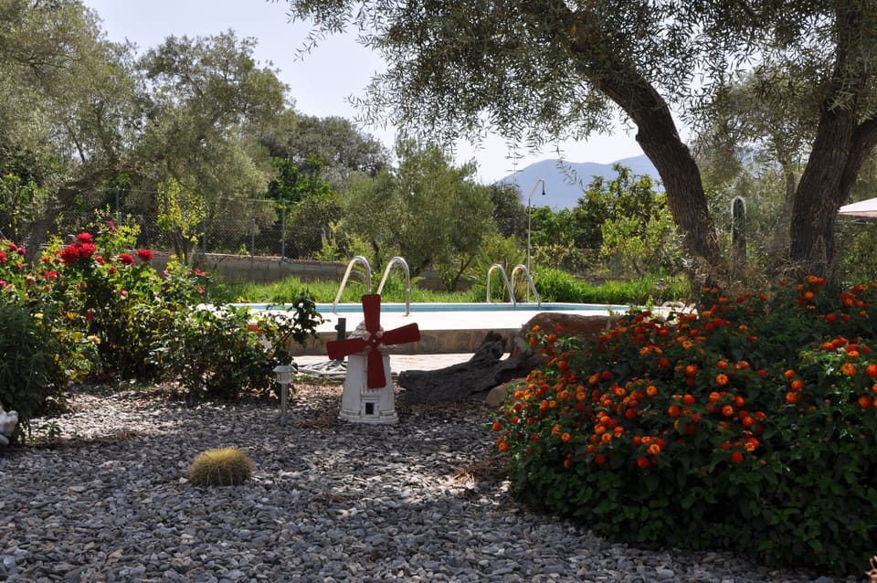 Garden
