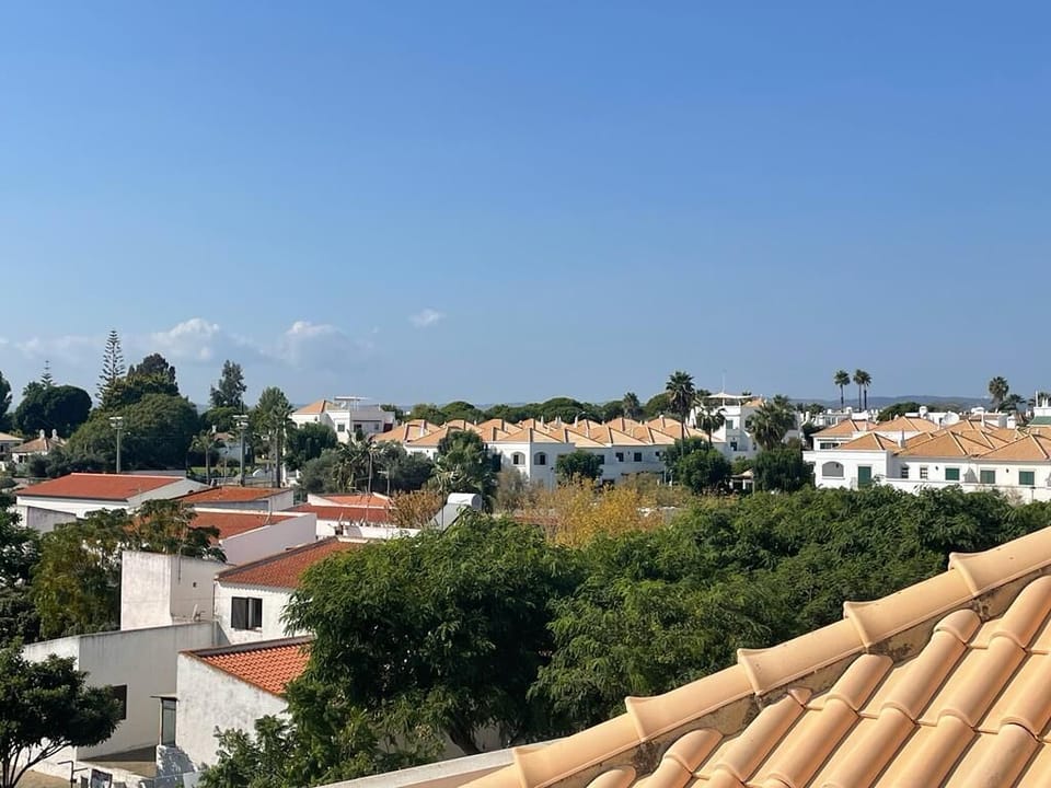 View to the hills