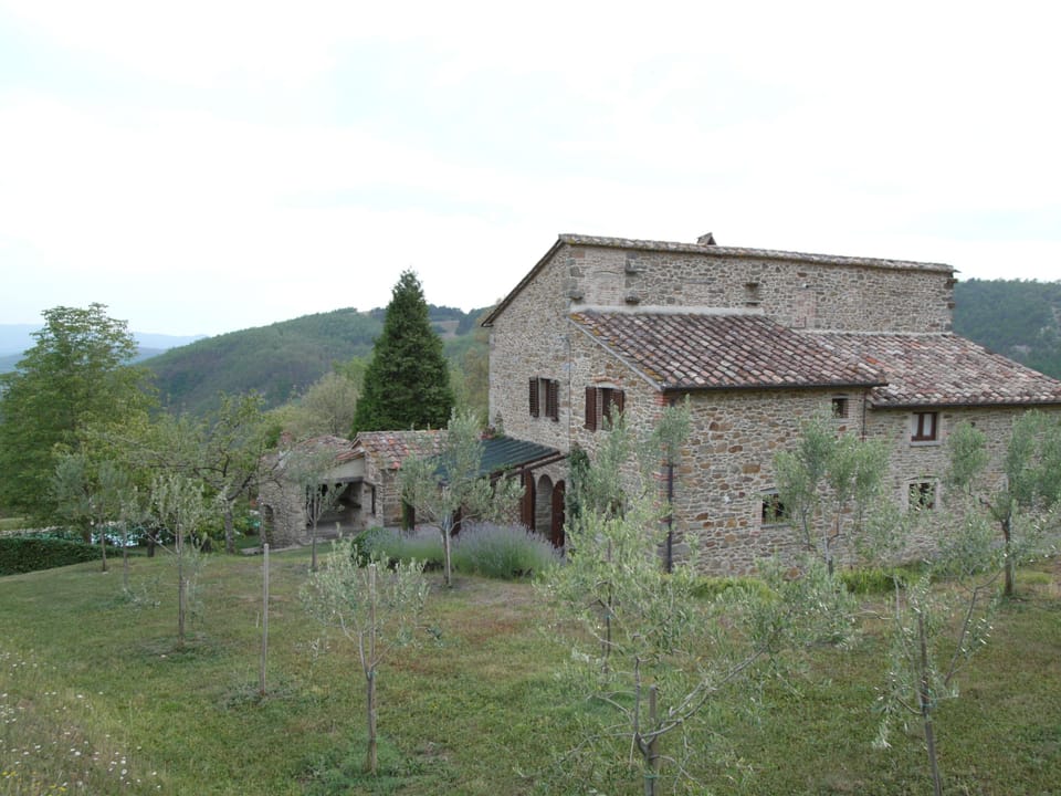 View through olive groves from NW