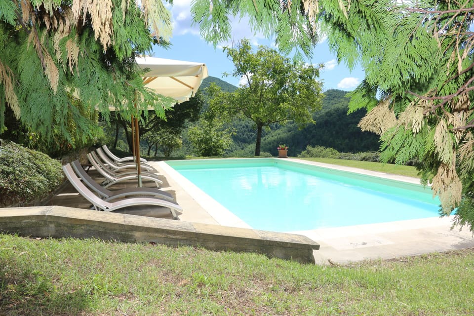 Pool from west