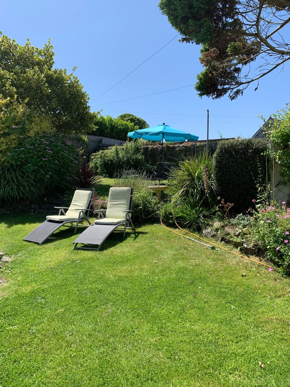 Garden kit includes dining table, chairs and parasol as well as loungers & BBQ