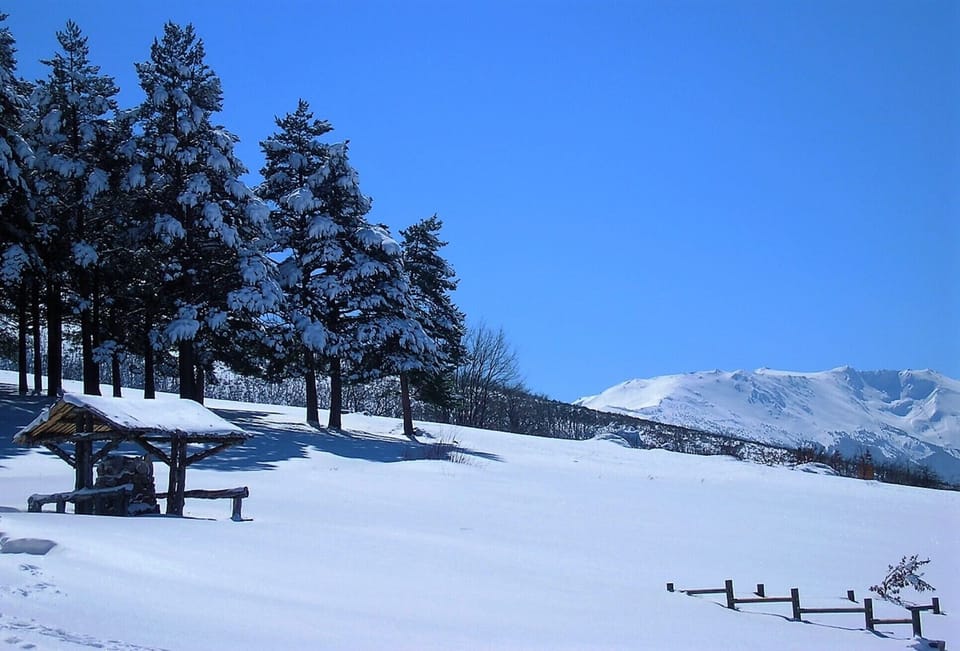 Mountains in winter