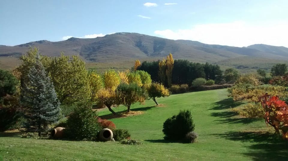 Garden and view