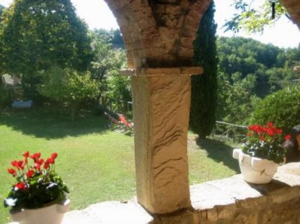 Garden, Park