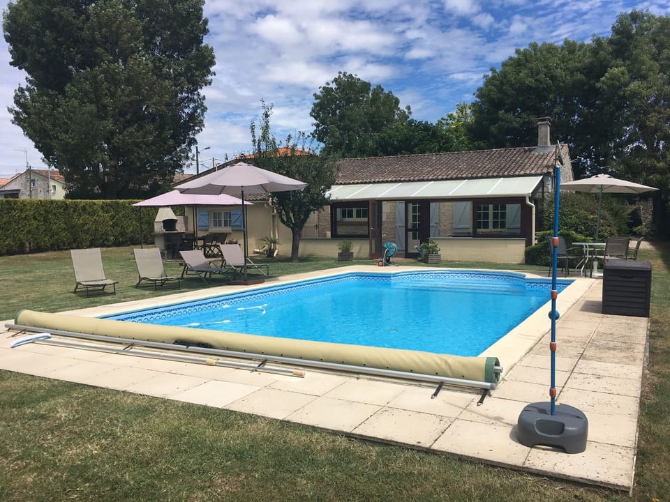 Pool and rear garden