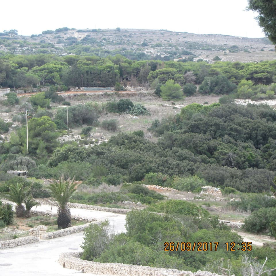 WARDIJA VALLEY for great walks.

