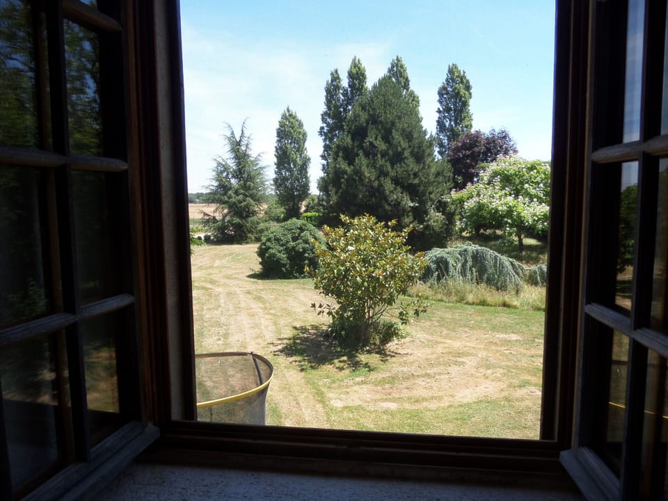 The garden from the Rose Room