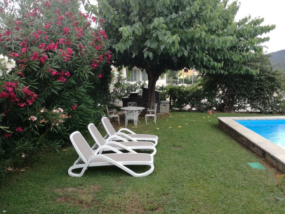 Garden around the swimming pool