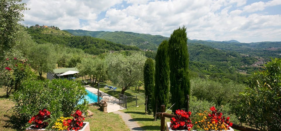 view from house to pool and part of garden