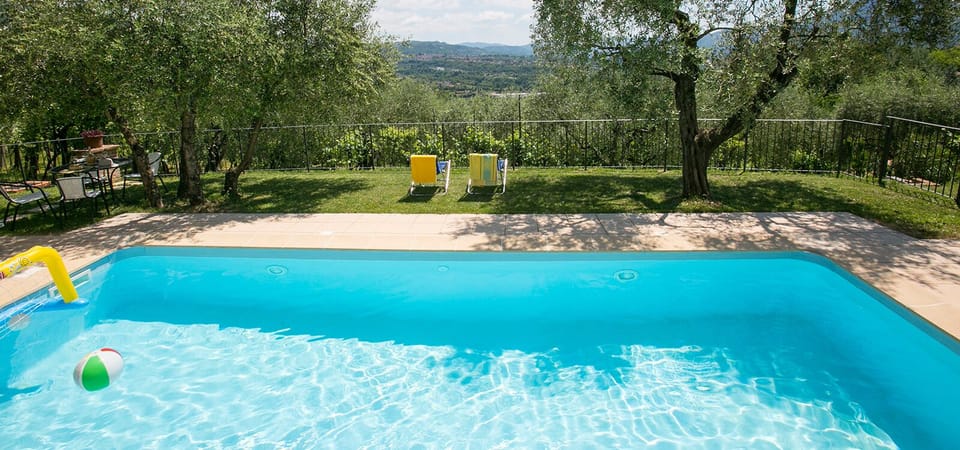 Views over the owners vineyard and olive groves