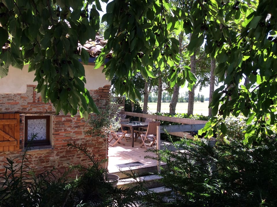 Steps to the cottage entrance and south facing terrace. 