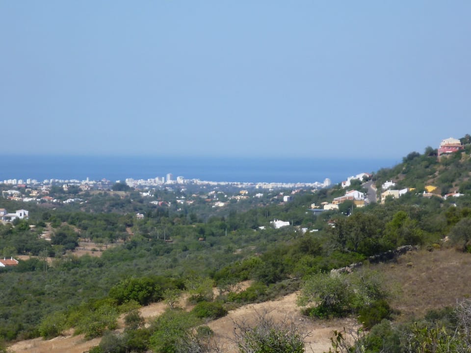 View to the sea from the terraced hillside behind the house