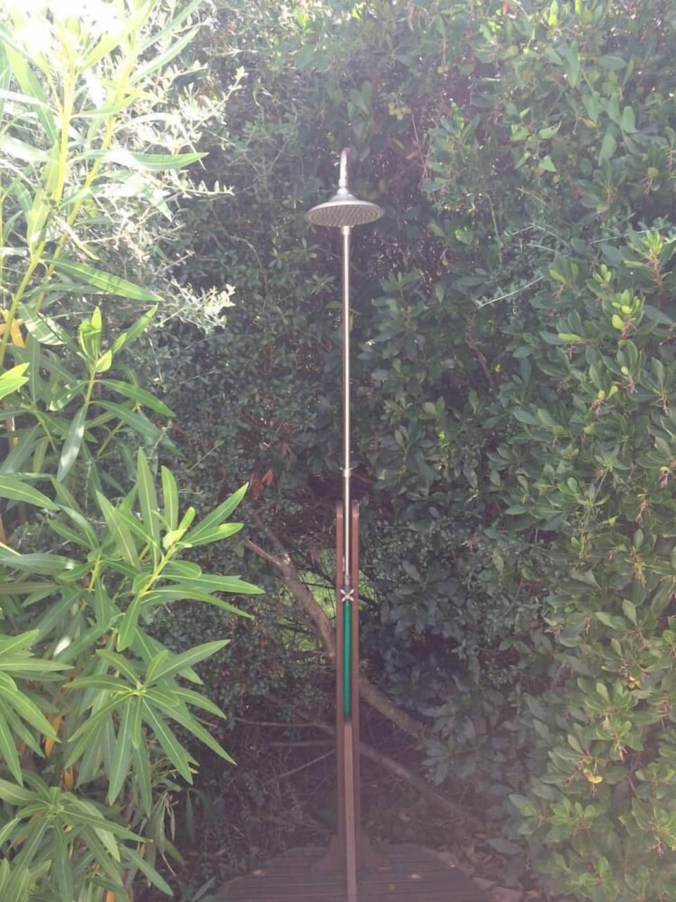 Garden, Park