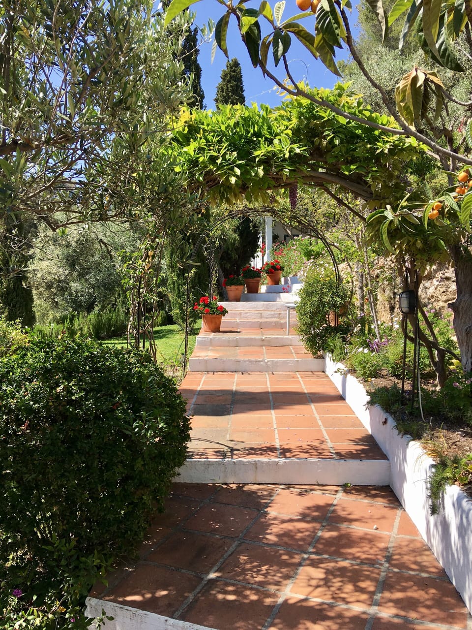 Steps through the garden of La Cuadra