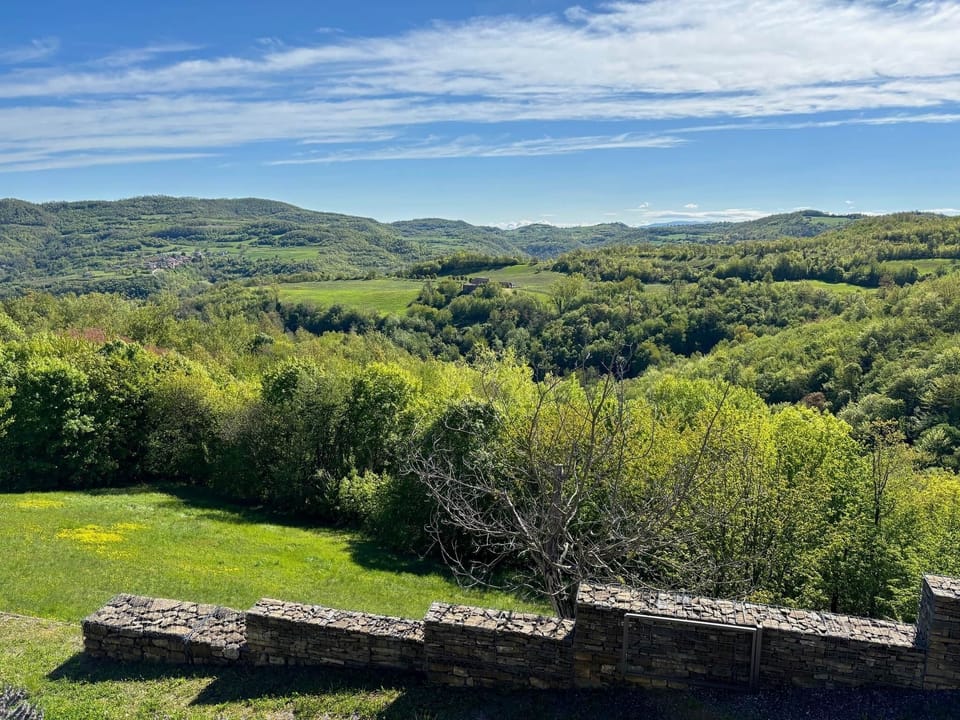 STELLA - View of the green hills of Piedmont
