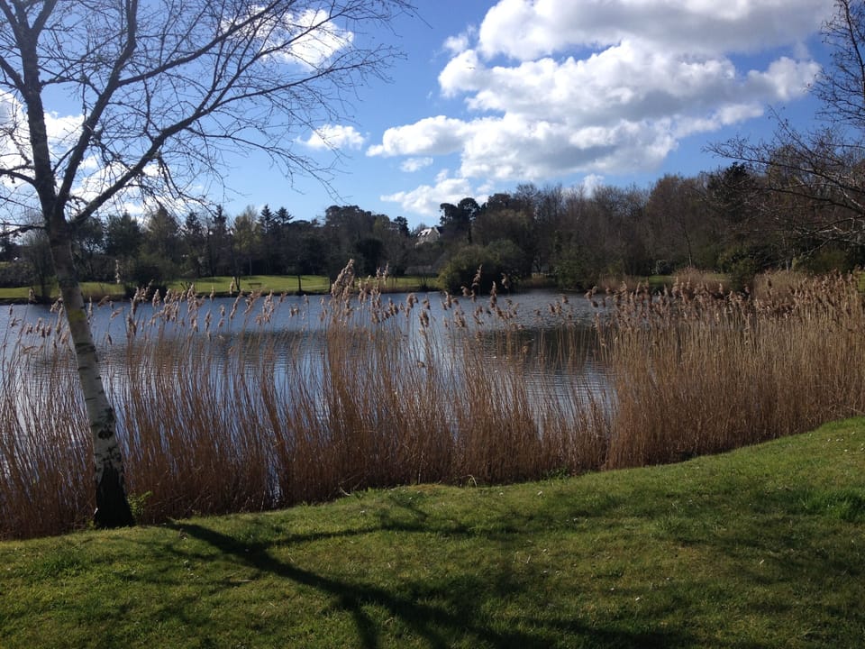 Sailing School Lake