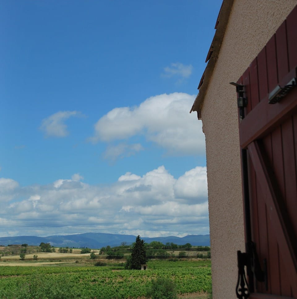 View of vineyard from upstairs. 
