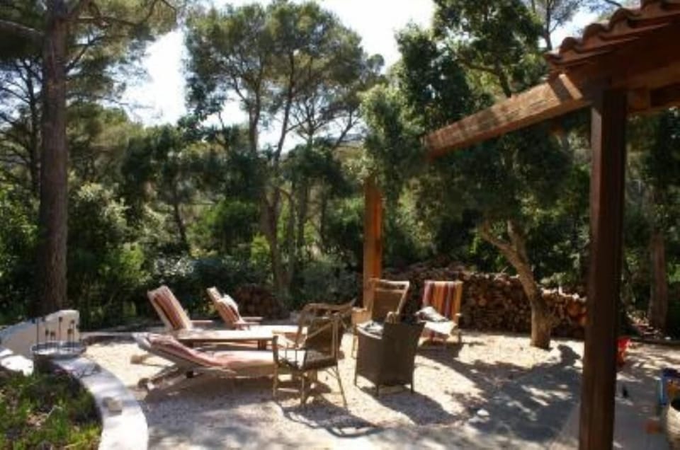 Garden, Park