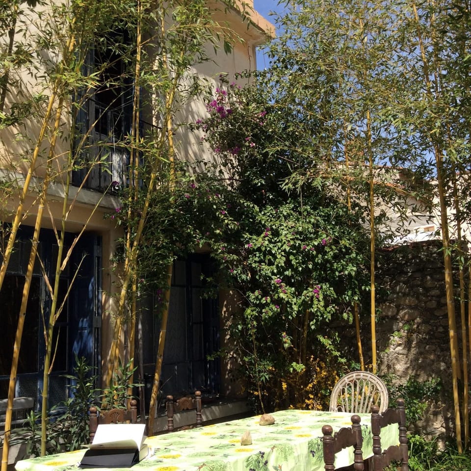 Corner of garden