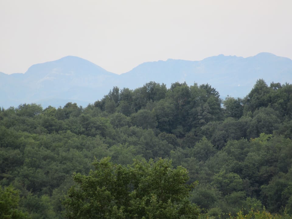 The wonderful view of the Pyrenees from the field above the house