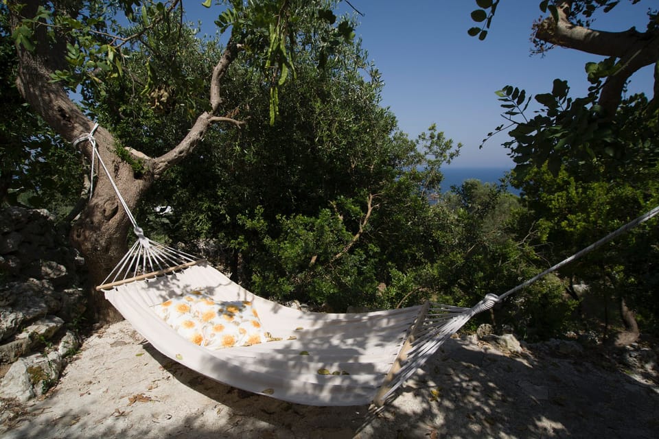 The hammock in the natural park with a sea view