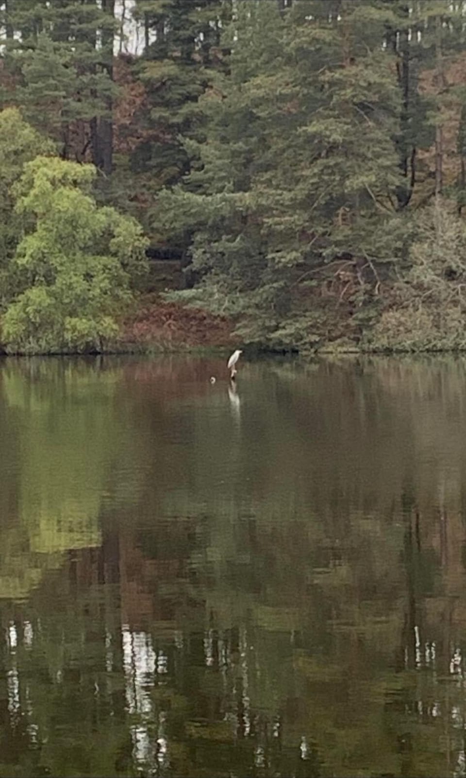 Milllbuies loch