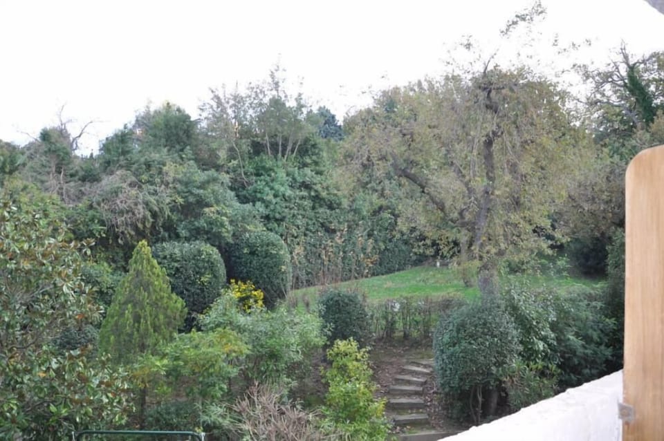 Terrace / Balcony