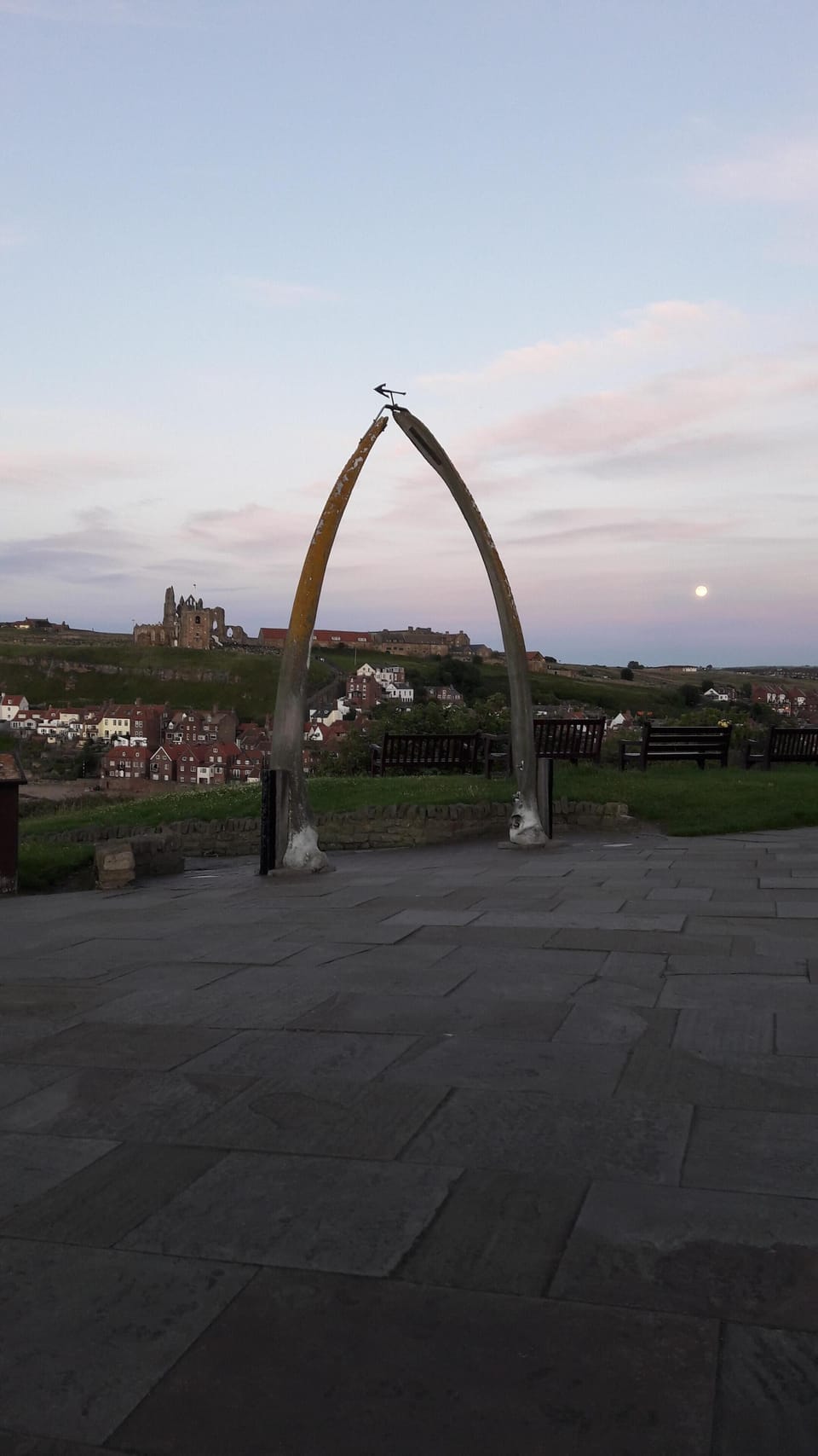 The famous whale bones