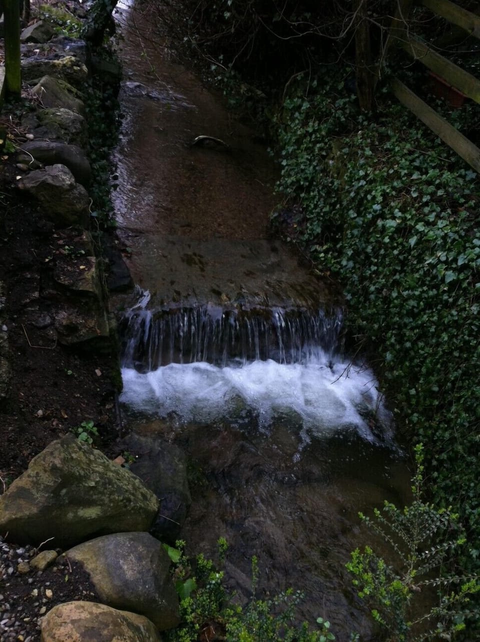 The stream that runs beside the property