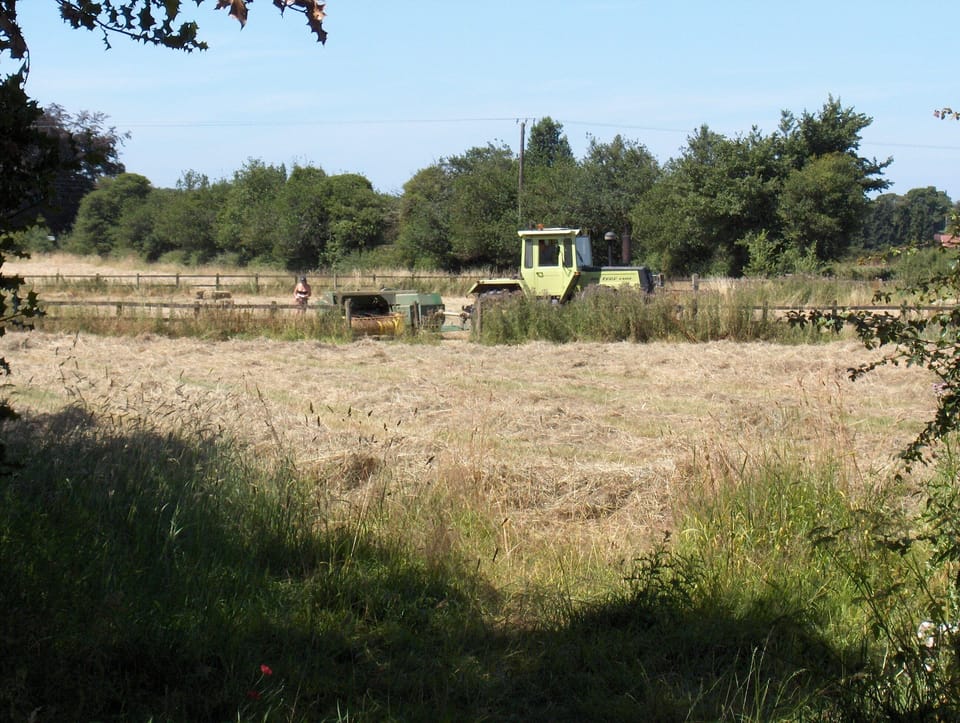 The pasture being cut for hay in June.