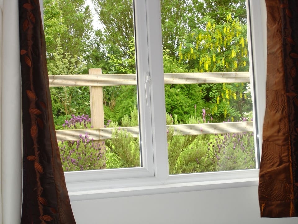 View from back bedroom