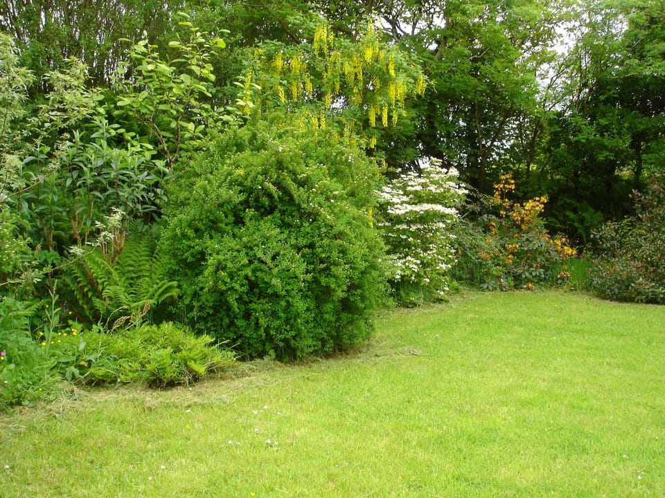 Secluded back garden