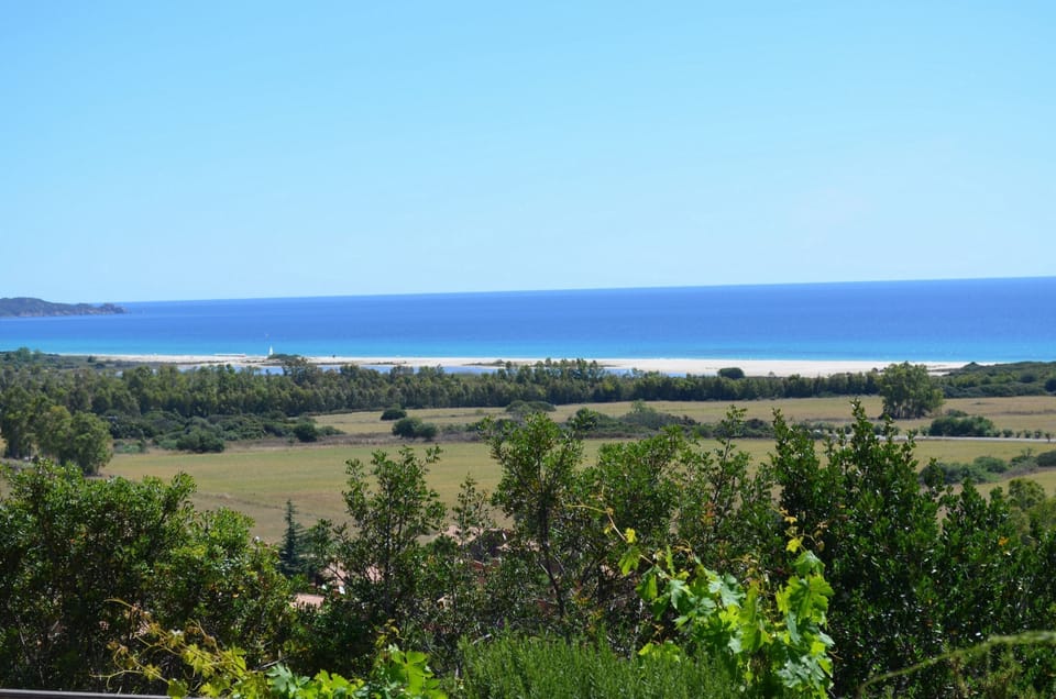 Lower garden - sea view