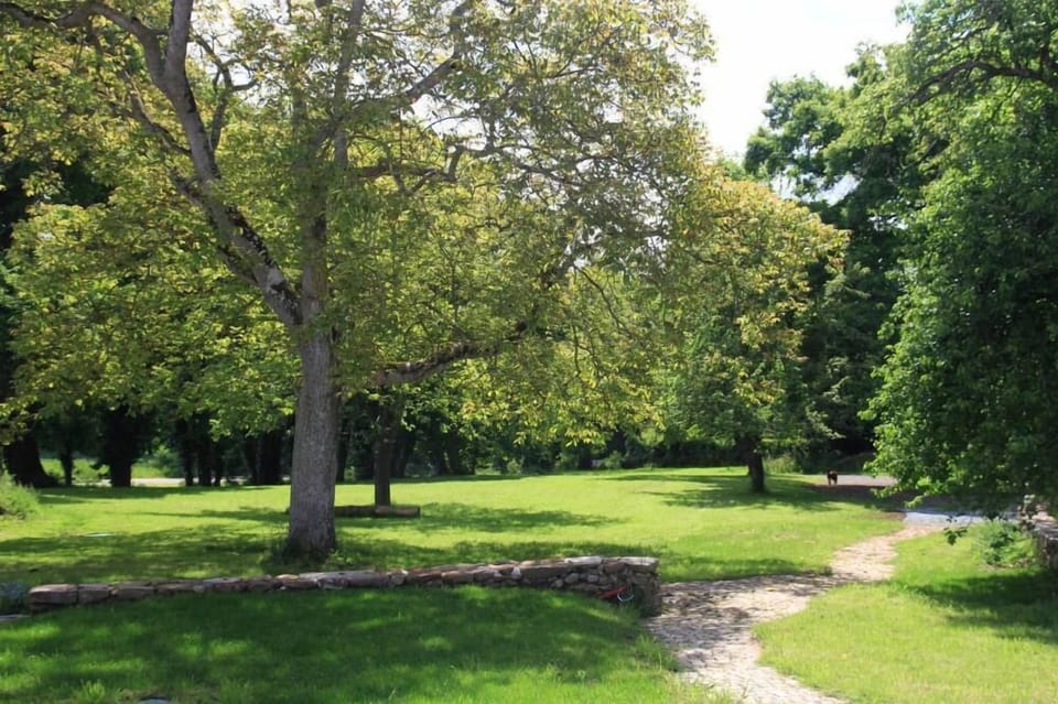 The garden at La Touche