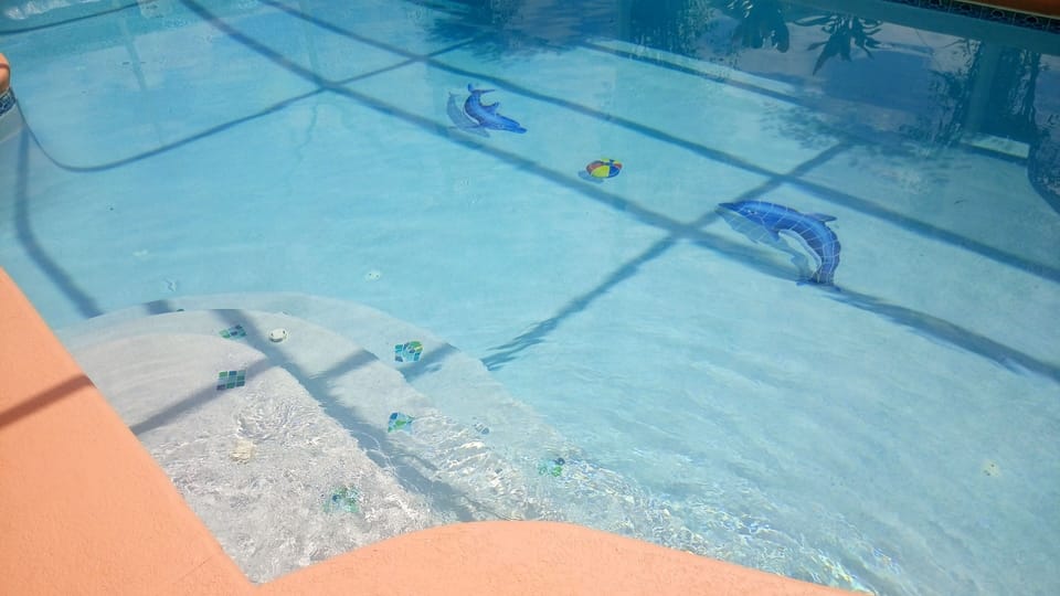 Catch the Dolphins in this beautiful pool!