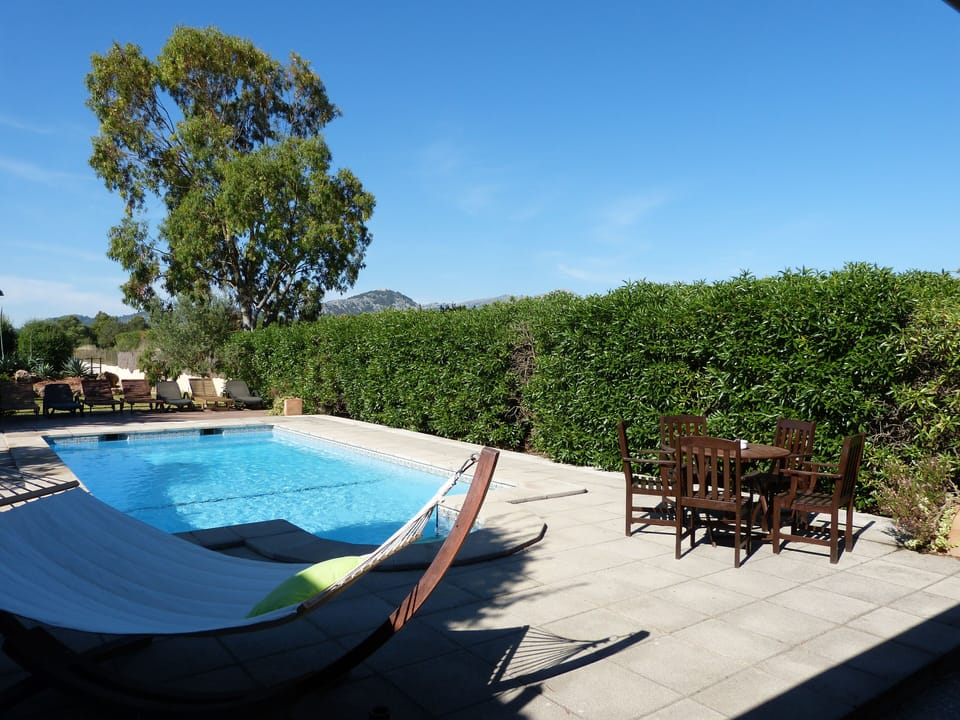 Patio and pool