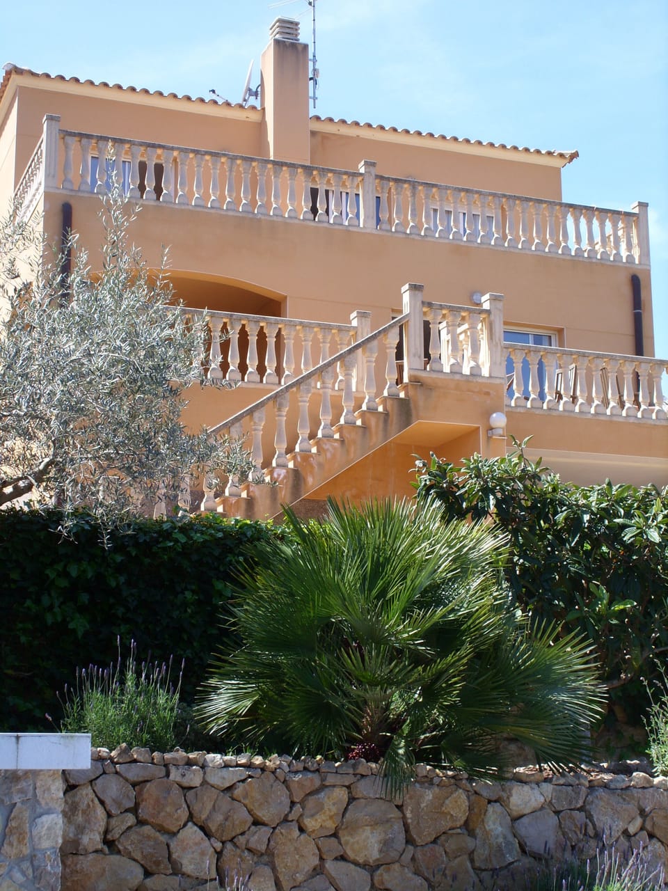 back side of the house