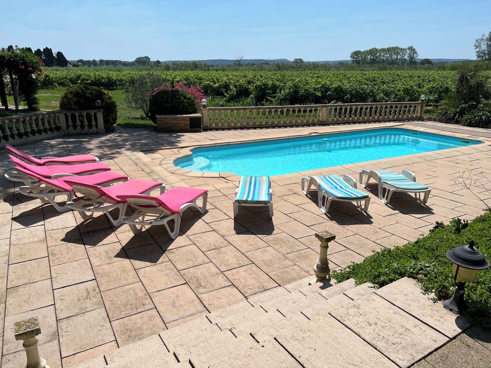 Pool overlooking vineyards