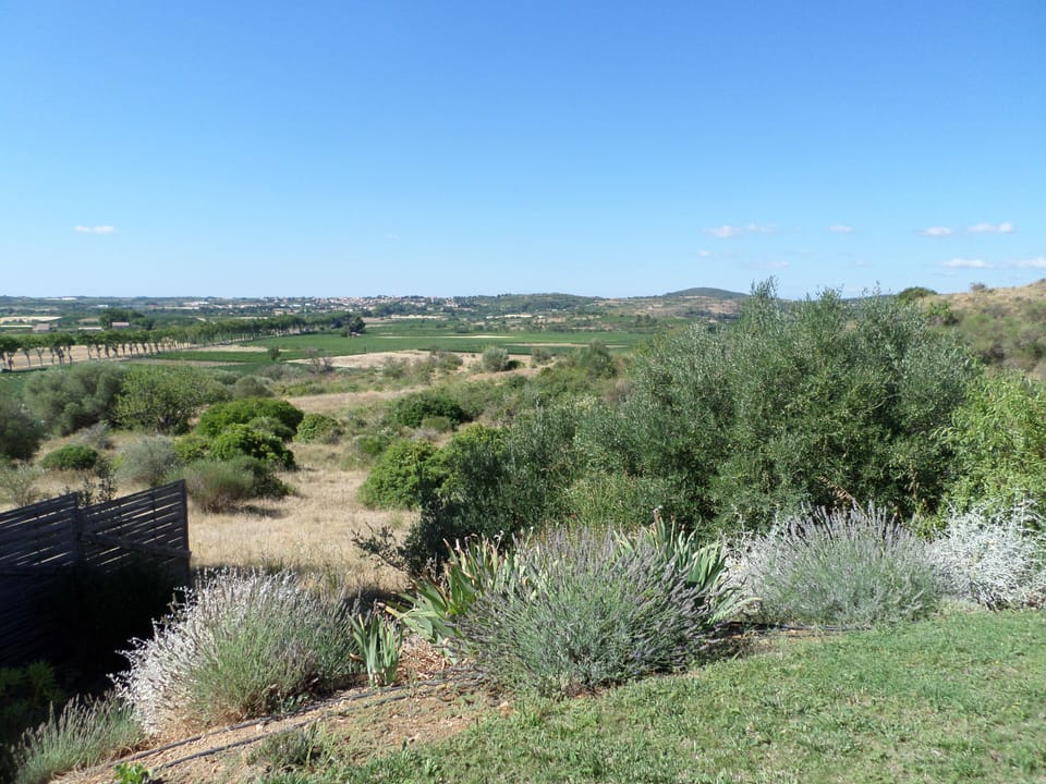 View from the villa grounds to Roujan