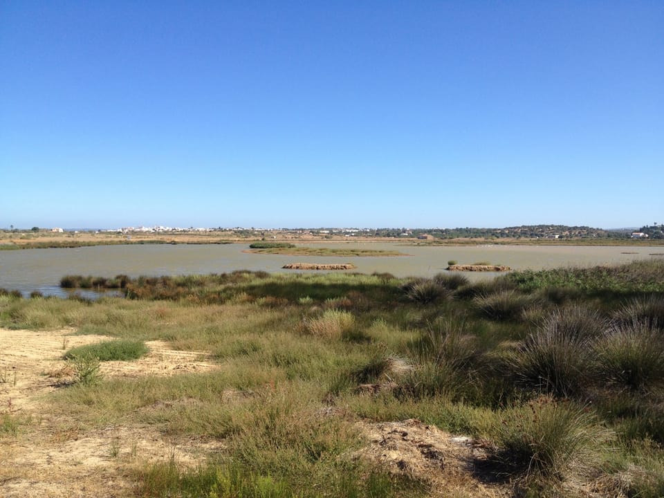 Wetlands Nature Reserve