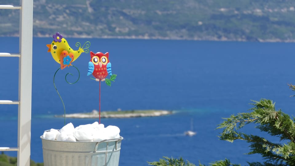 Angry birds!!